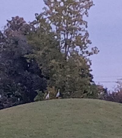 Glenna Droscha Park - Mason,