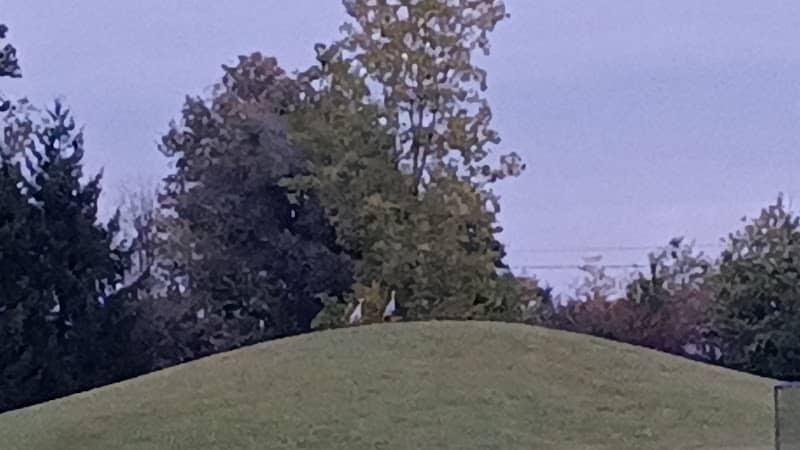 Glenna Droscha Park - Mason,