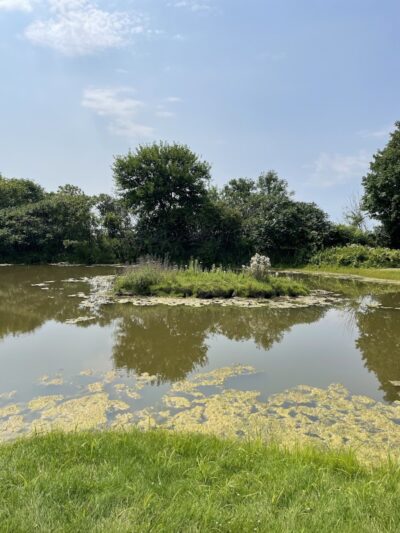 Glenna Droscha Park - Mason,