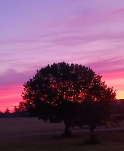 Glenna Droscha Park - Mason,