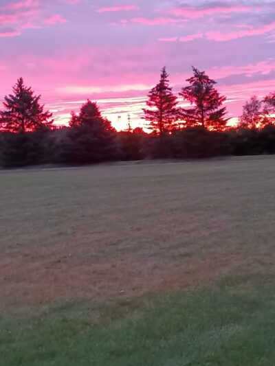 Glenna Droscha Park - Mason,