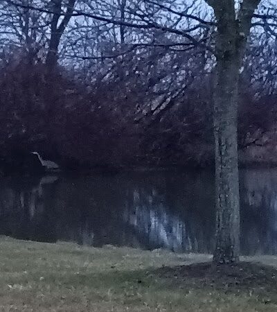Glenna Droscha Park - Mason,