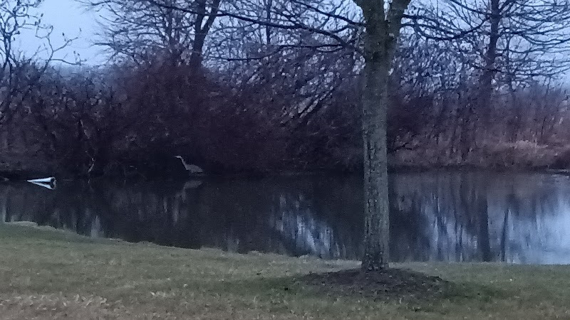 Glenna Droscha Park - Mason,