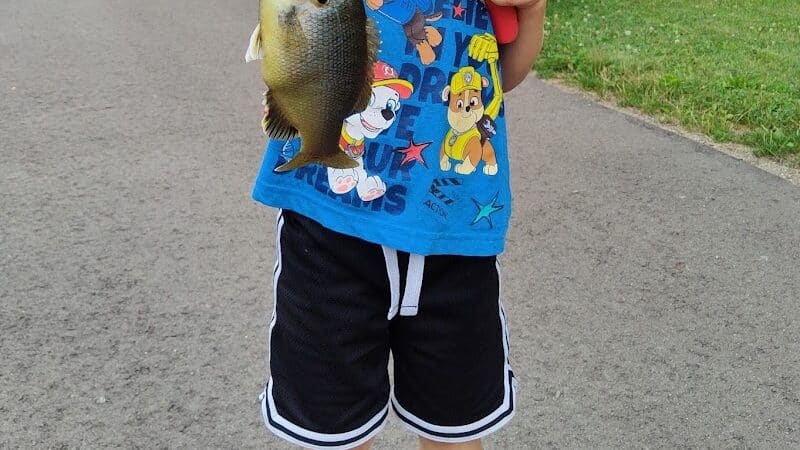 Laylin Park - Mason,