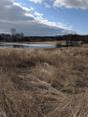 Bunker Nature Preserve
