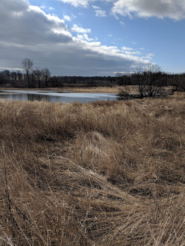 Bunker Nature Preserve