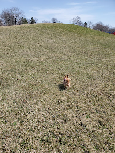 Hayes Park