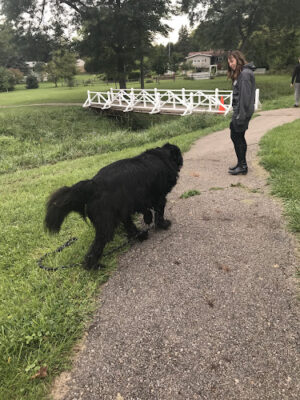 Laylin Park
