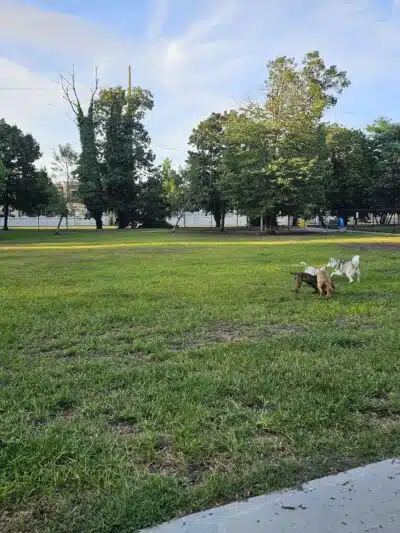 Town of Oyster Bay Dog Park - Massapequa, NY