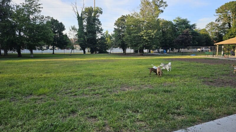 Town of Oyster Bay Dog Park - Massapequa, NY