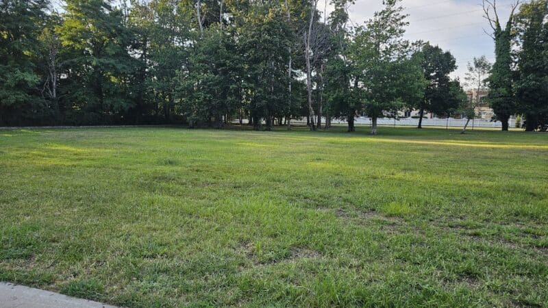 Town of Oyster Bay Dog Park - Massapequa, NY