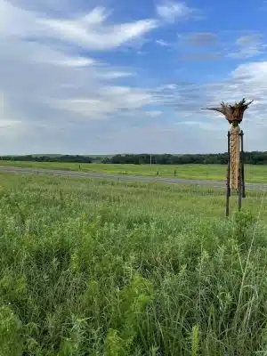 Matfield Station - Matfield Green, KS