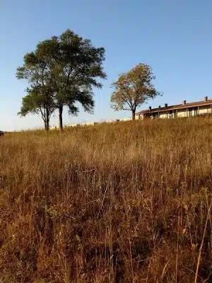 Matfield Station - Matfield Green, KS