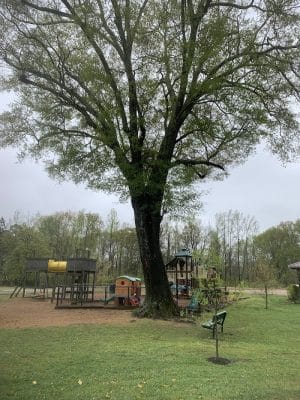 Mathiston Park