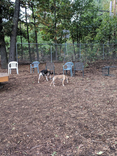 Maynard Dog Park