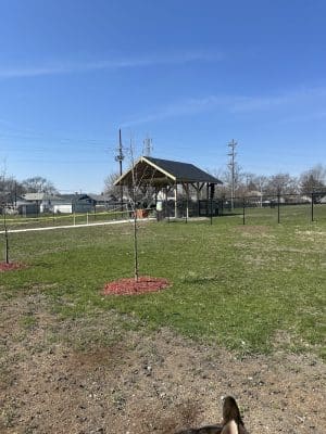 Maywood Dog Park