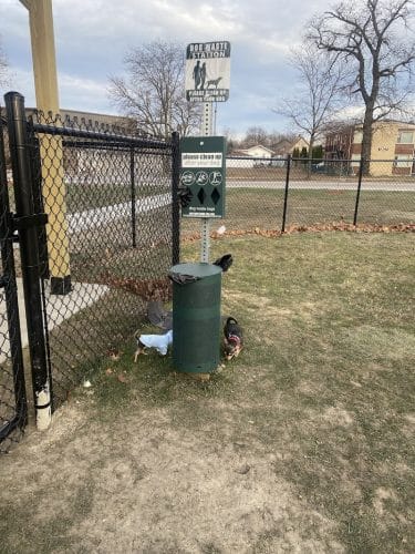 Maywood Dog Park
