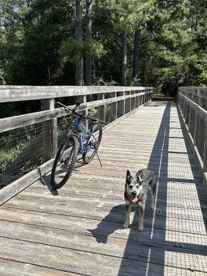 Savannah Valley Rail Road Trail - Huguenot Pkwy Trailhead