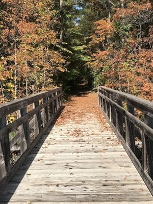 Savannah Valley Rail Road Trail - Huguenot Pkwy Trailhead