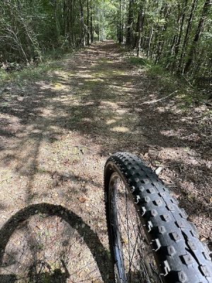 Savannah Valley Rail Road Trail - Huguenot Pkwy Trailhead