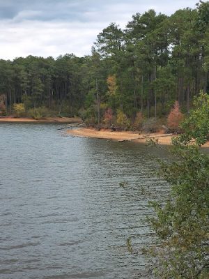 Savannah Valley Railroad Trail