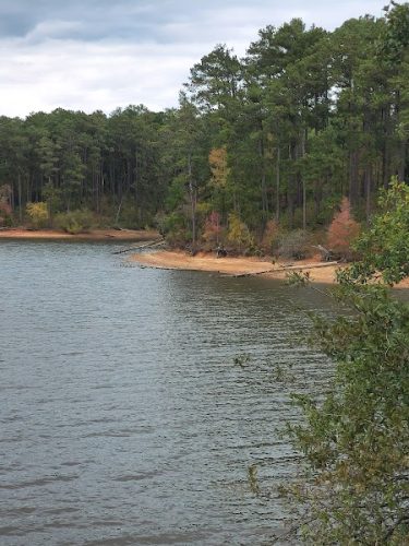 Savannah Valley Railroad Trail