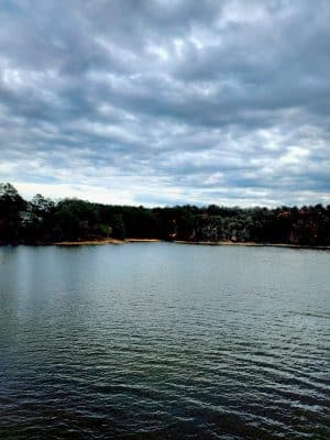 Savannah Valley Railroad Trail