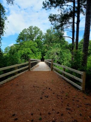 Savannah Valley Railroad Trail