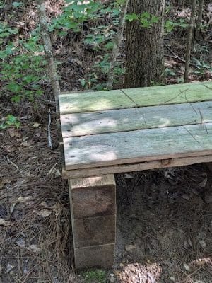 Savannah Valley Railroad Trail