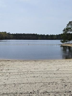 Little Ocmulgee State Park cabin - McRae-Helena, GA