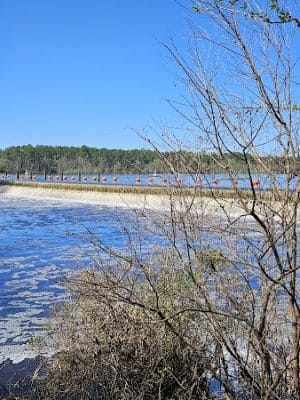 Little Ocmulgee State Park cabin - McRae-Helena, GA