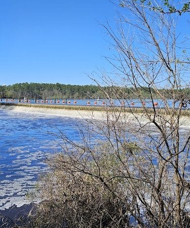 Little Ocmulgee State Park cabin - McRae-Helena, GA