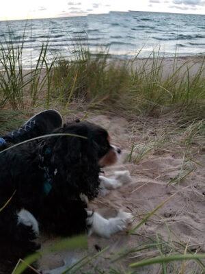 Golden Township Park at Lake Michigan