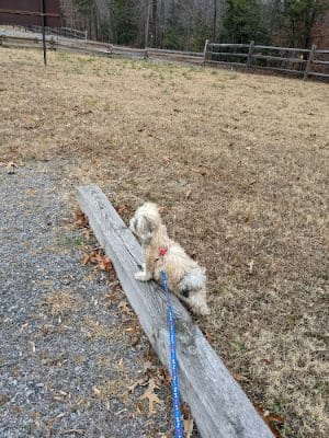 Shelton House Trail Park