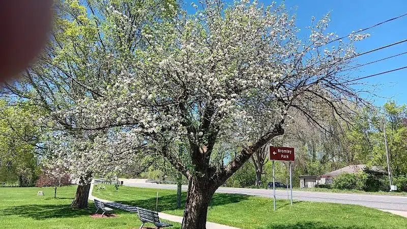 Bromley Park - Mecosta,