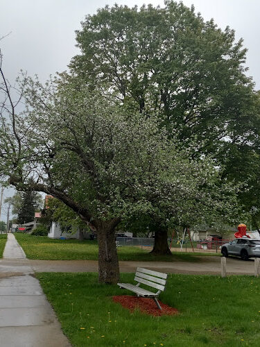 Bromley Park