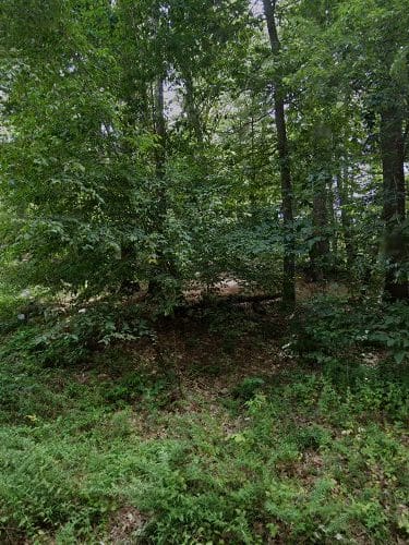 Shattuck Reservation