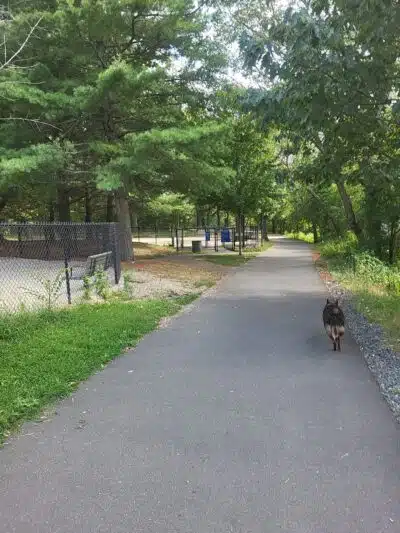 Medford Dog Park - Medford, MA