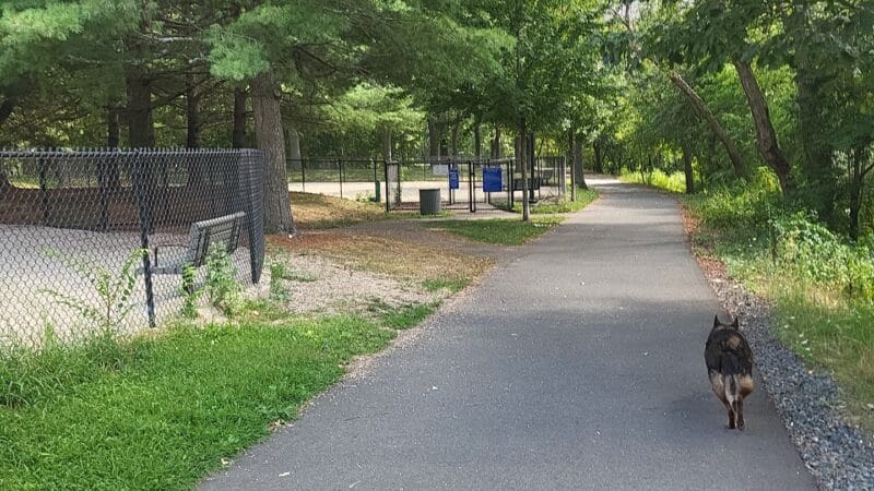 Medford Dog Park - Medford, MA