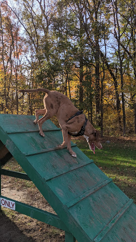 Duke's Dog Run at Freedom Park