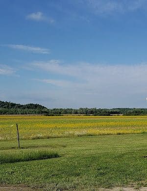 Sparksville Park of Jackson County