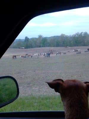 Sparksville Park of Jackson County