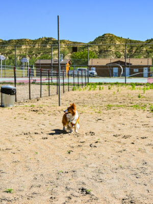 Ruff Riders Dog Park