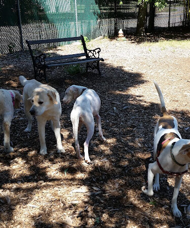 Medway Dog Park