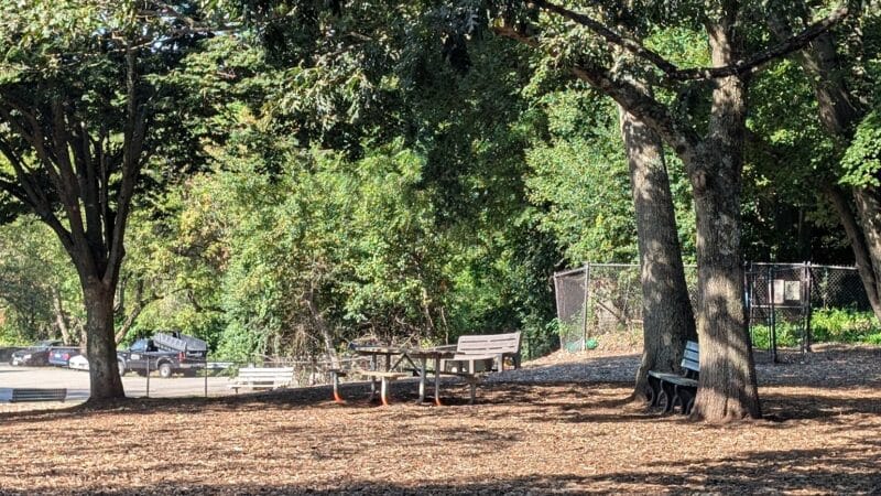 Medway Dog Park - Medway, MA