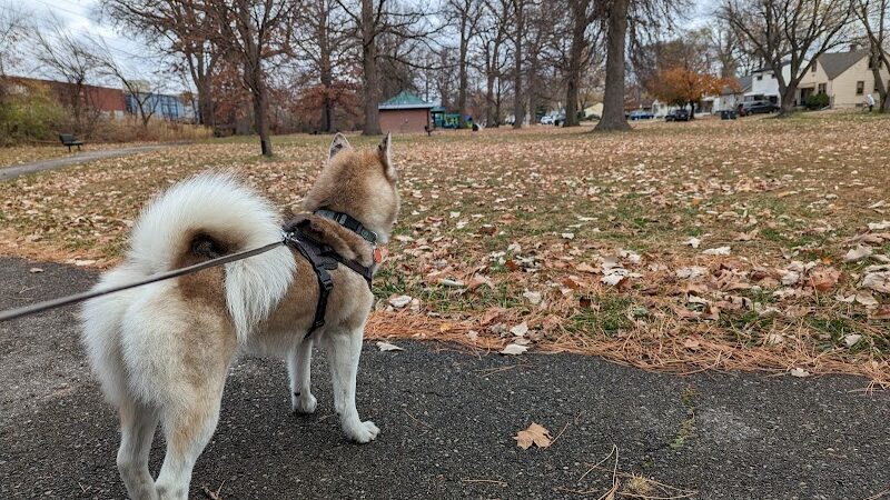 Coogan Park - Melvindale,