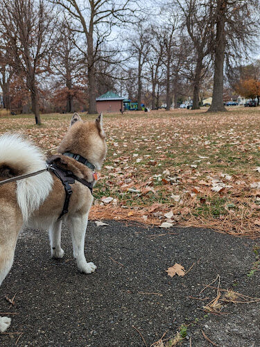 Coogan Park