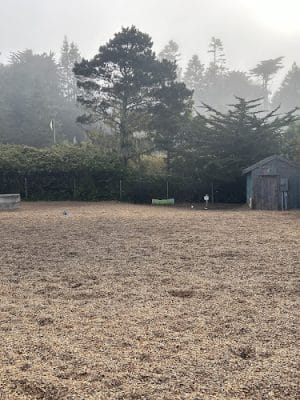Mendocino Dog Park - Mendocino, CA