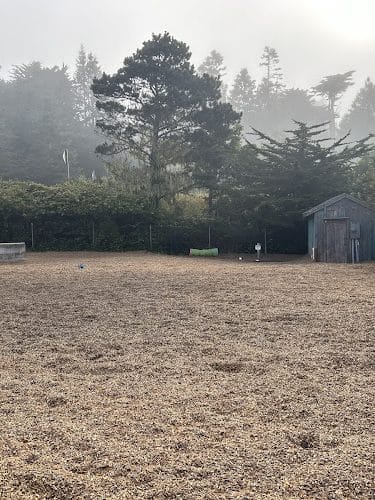 Mendocino Dog Park - Mendocino, CA