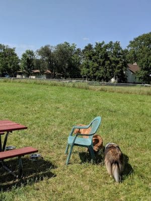 City Of Mendota Heights Off-leash Dog Area